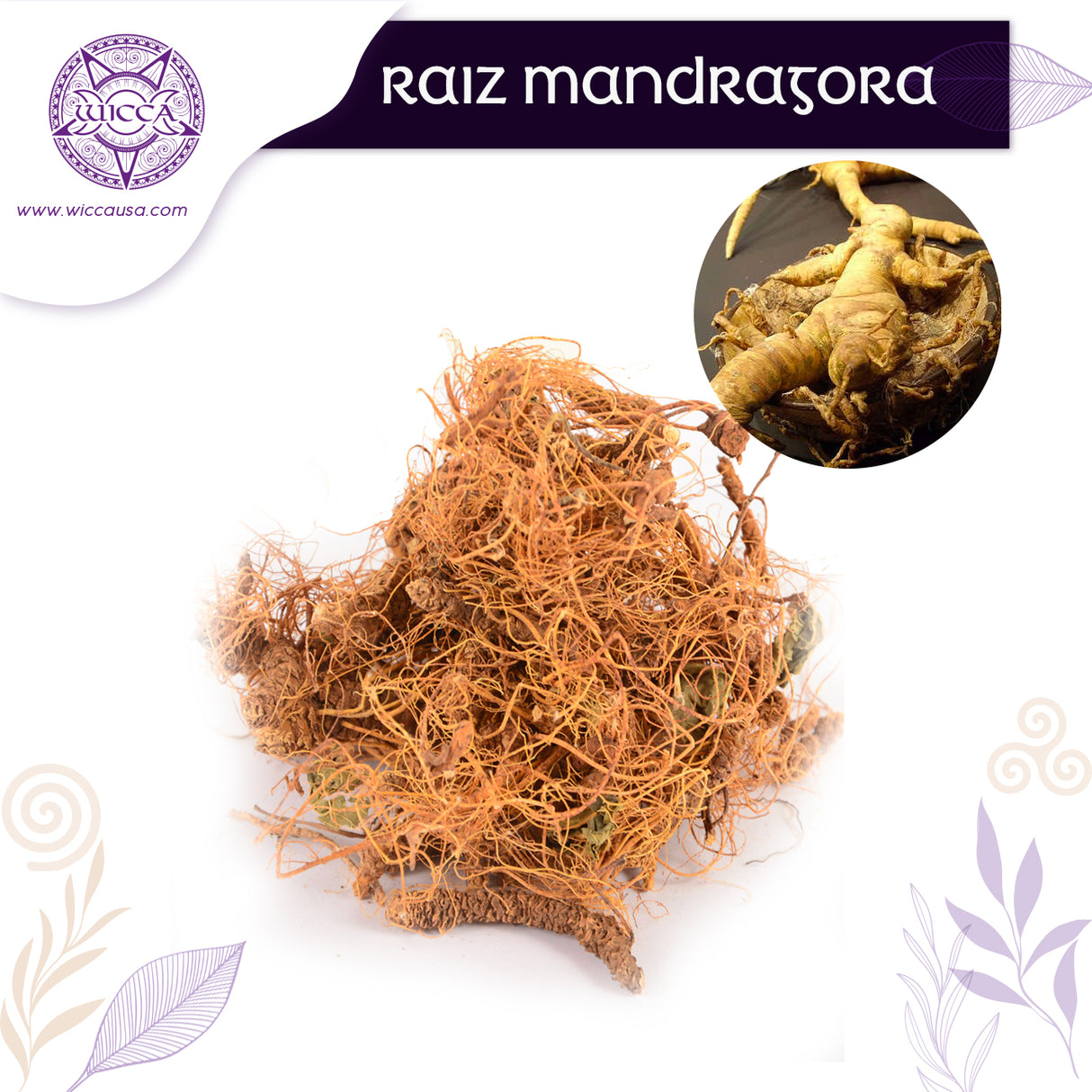 Herbolario: Raíz de Mandrágora: Poder Místico y Rituales Especiales