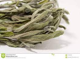 Herbolario : Salvia: La planta sagrada de la purificación y el conocimiento.(2oz)
